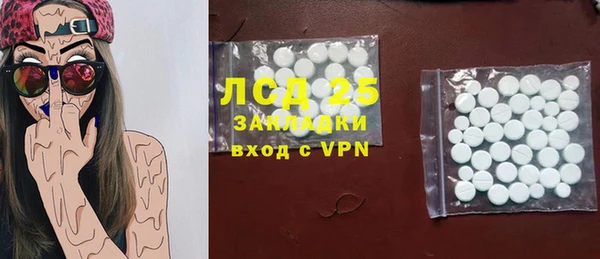гидра Вязьма
