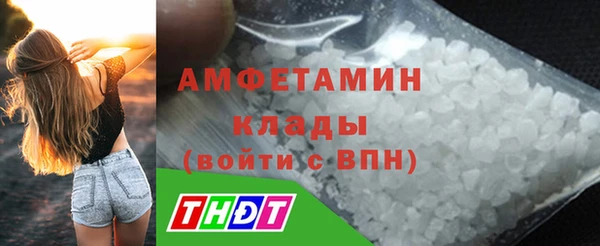гидра Вязьма