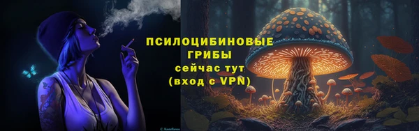 гидра Вязьма
