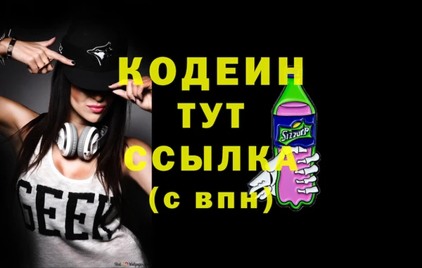 гидра Вязьма