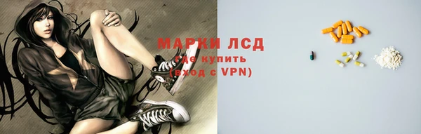 гидра Вязьма