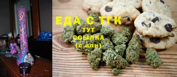 гидра Вязьма