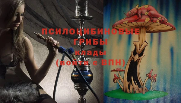 гидра Вязьма