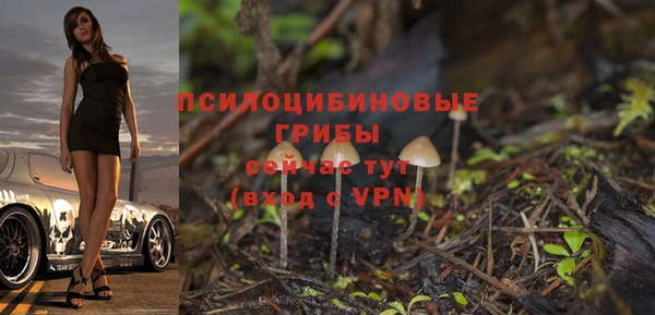 гидра Вязьма