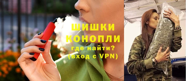 гидра Вязьма