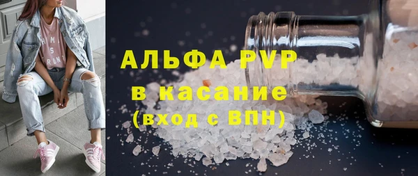 гидра Вязьма
