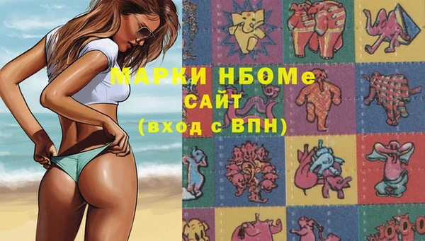 гидра Вязьма
